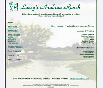 Lacey's Arabian Ranch website home page